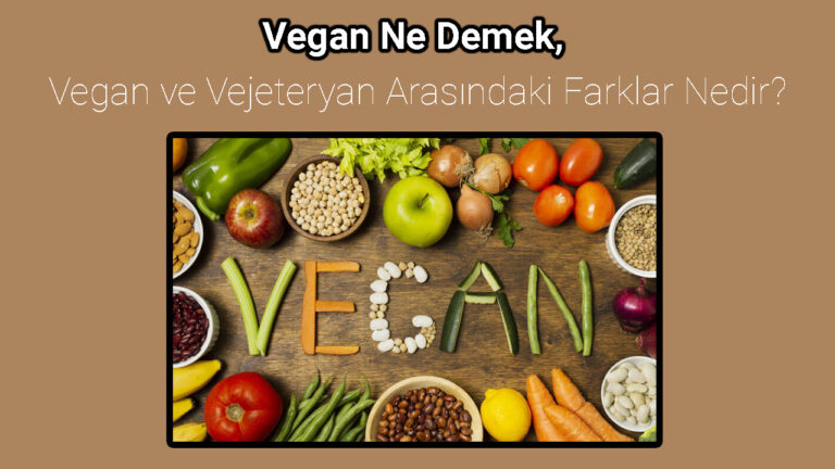 Vegan Ne Demek, (2022) Vegan Ürün Ne anlama Geliyor?